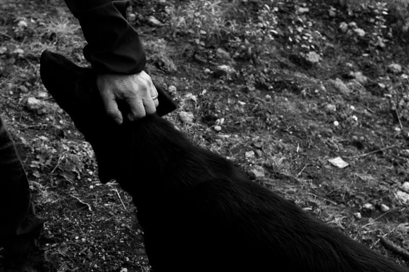 © Jorge Pach - Image from the The Dogs Bark Names You Don’t Understand photography project
