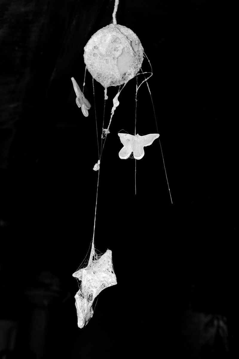© Jorge Pach - Image from the The Dogs Bark Names You Don’t Understand photography project