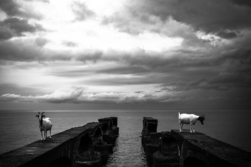 © Theo Gould - Image from the Os meninos da roça photography project