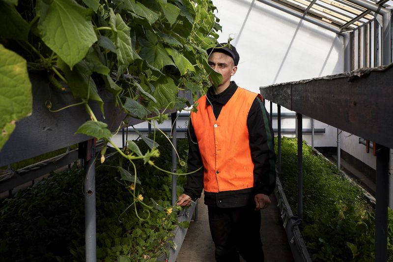 © Tatiana Bondareva - The guys grow vegetables in the prison.