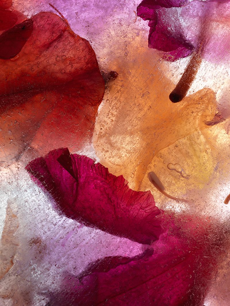 © Andrea Zvadova - Image from the PARALLELS & HIBERNATION & FUTURE photography project