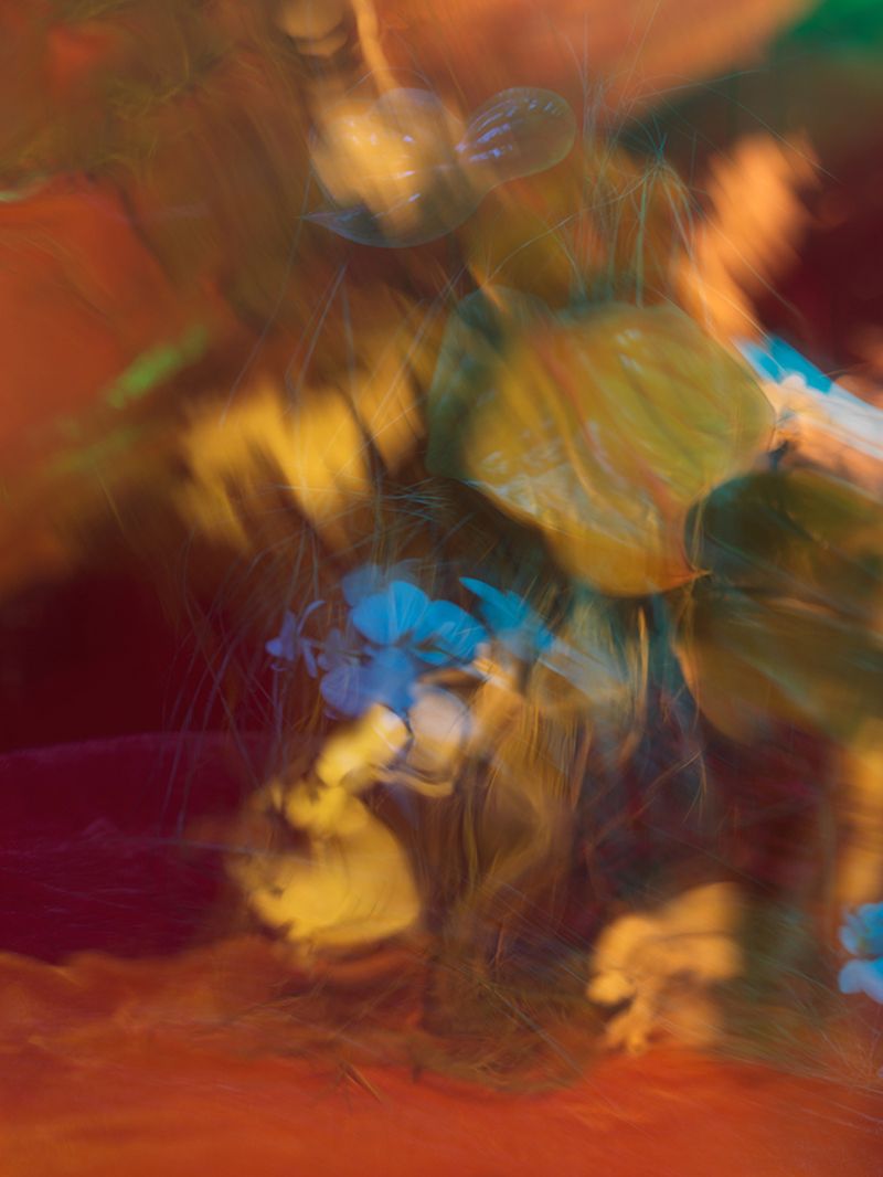 © Andrea Zvadova - Image from the PARALLELS & HIBERNATION & FUTURE photography project