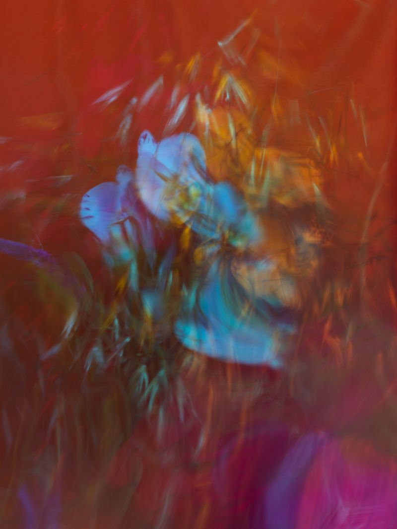 © Andrea Zvadova - Image from the PARALLELS & HIBERNATION & FUTURE photography project