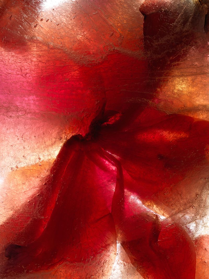 © Andrea Zvadova - Image from the PARALLELS & HIBERNATION & FUTURE photography project