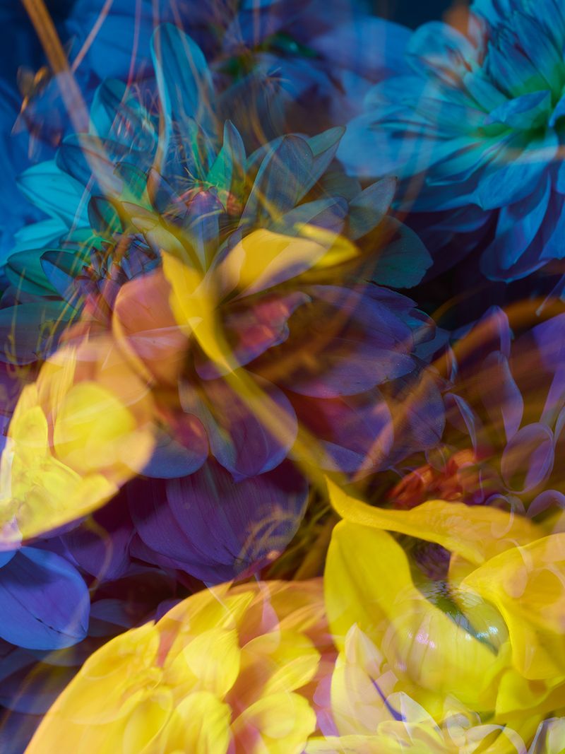 © Andrea Zvadova - Image from the PARALLELS & HIBERNATION & FUTURE photography project