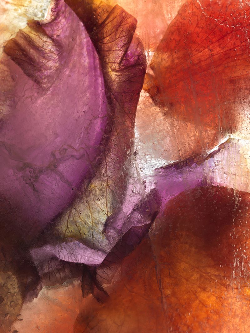 © Andrea Zvadova - Image from the PARALLELS & HIBERNATION & FUTURE photography project