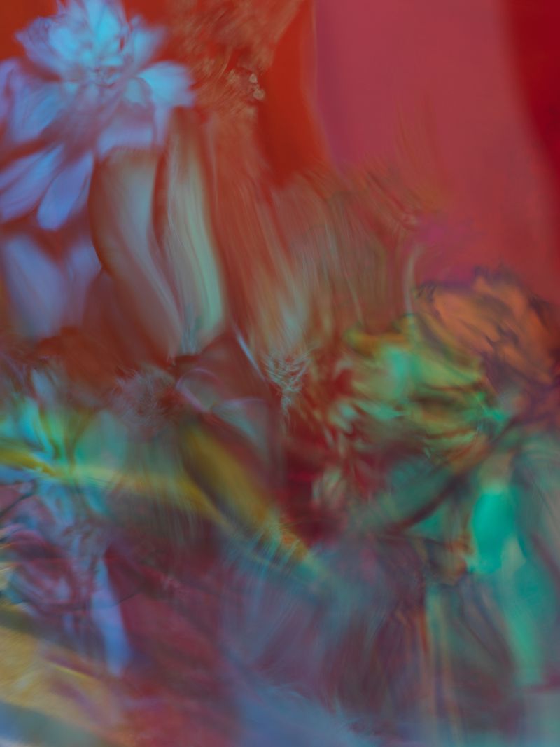 © Andrea Zvadova - Image from the PARALLELS & HIBERNATION & FUTURE photography project