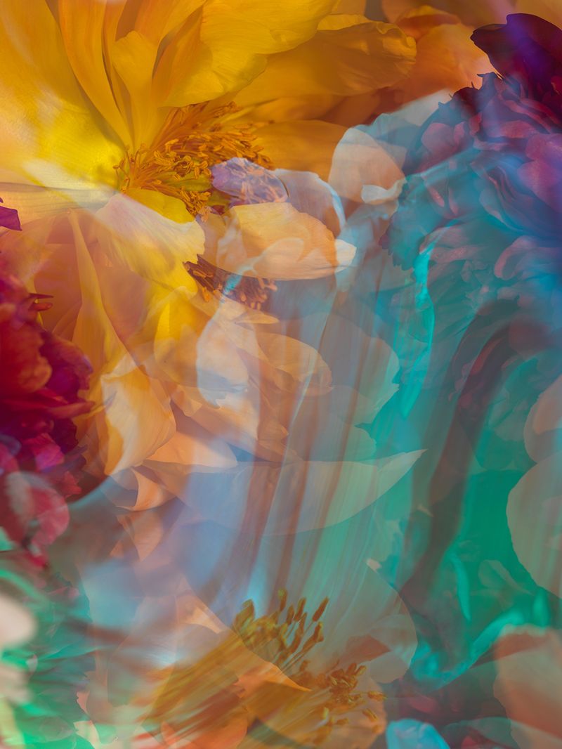 © Andrea Zvadova - Image from the PARALLELS & HIBERNATION & FUTURE photography project