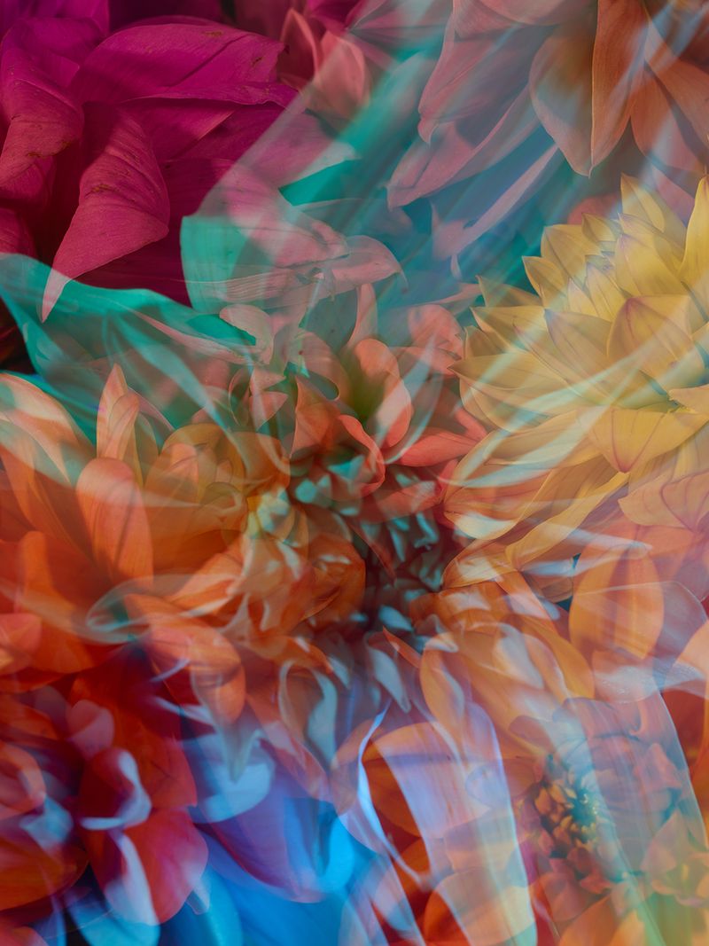 © Andrea Zvadova - Image from the PARALLELS & HIBERNATION & FUTURE photography project