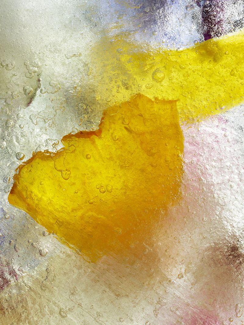 © Andrea Zvadova - Image from the PARALLELS & HIBERNATION & FUTURE photography project