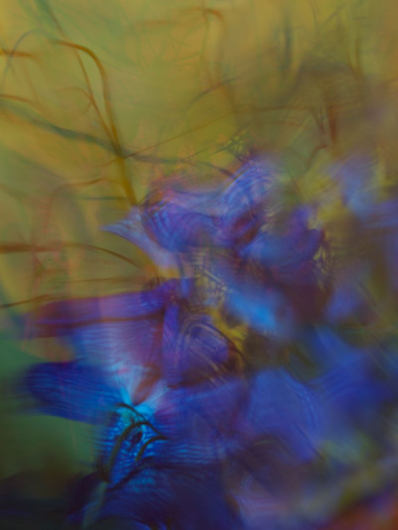 © Andrea Zvadova - Image from the PARALLELS & HIBERNATION & FUTURE photography project