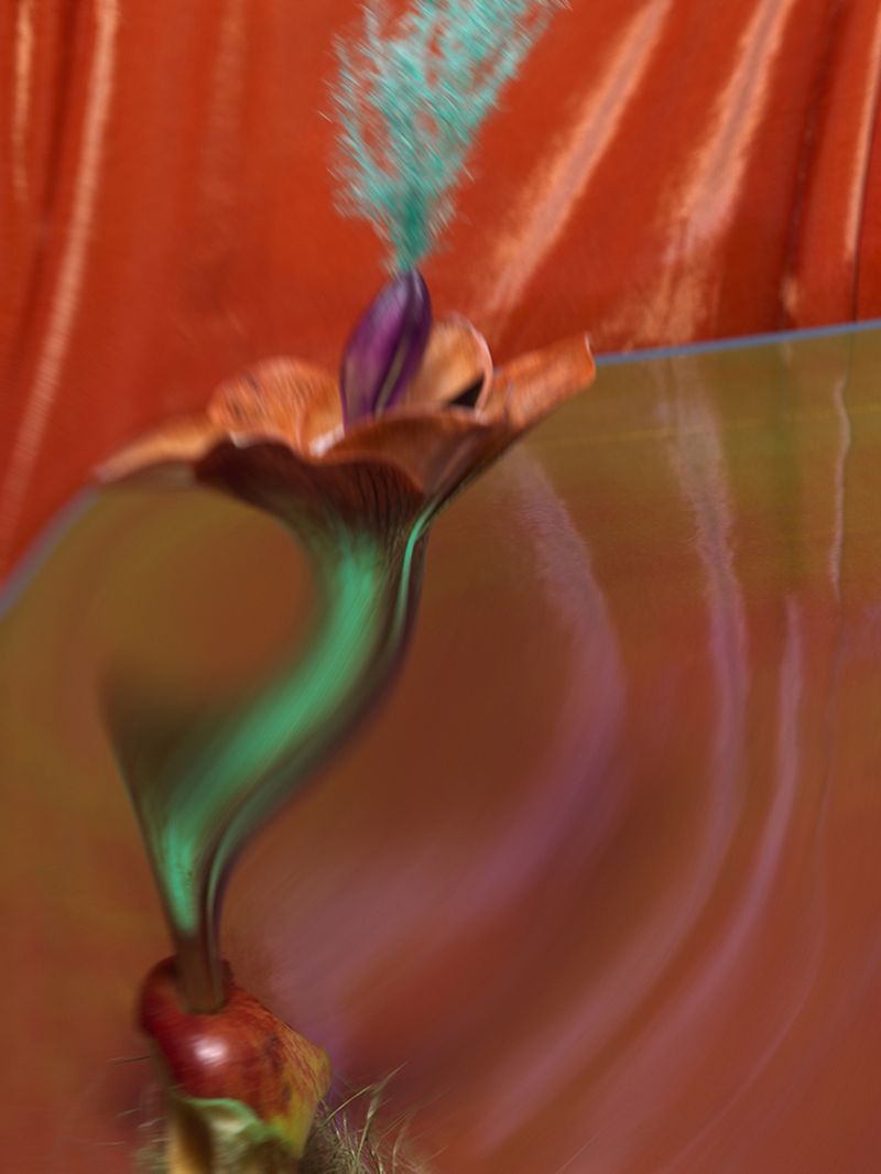 © Andrea Zvadova - Image from the PARALLELS & HIBERNATION & FUTURE photography project