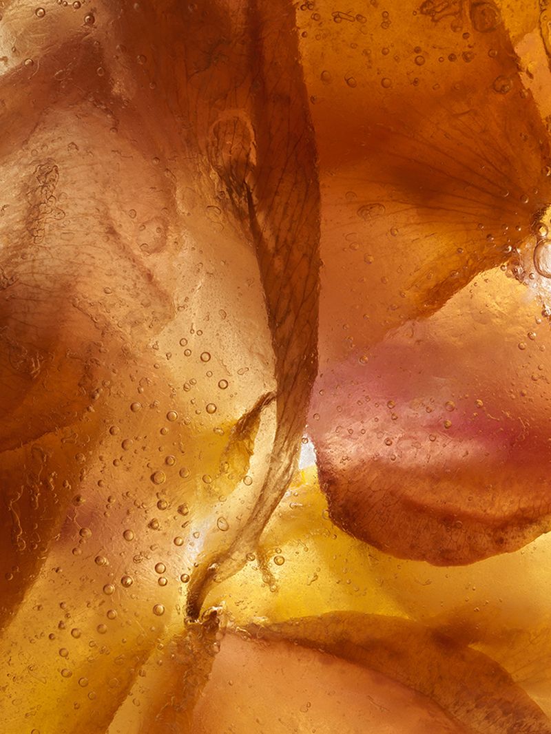 © Andrea Zvadova - Image from the PARALLELS & HIBERNATION & FUTURE photography project