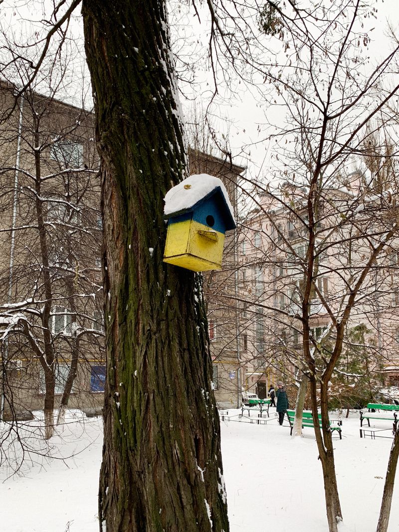 © Olga Permiakova - Image from the Capri blue / Traffic yellow photography project