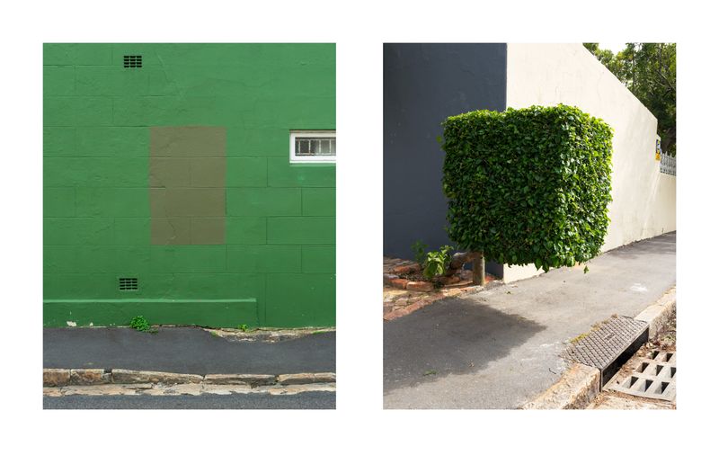 © Dillon Marsh - Image from the Walks With My Dogs photography project