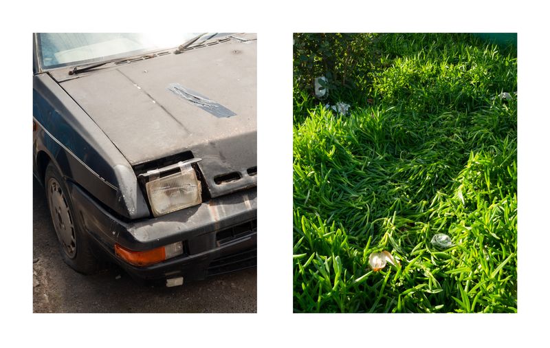 © Dillon Marsh - Image from the Walks With My Dogs photography project