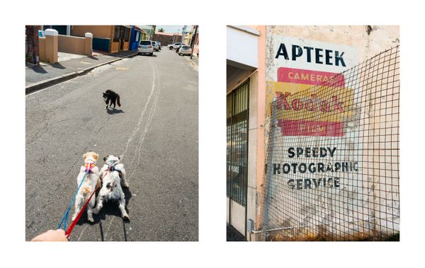 © Dillon Marsh - Image from the Walks With My Dogs photography project