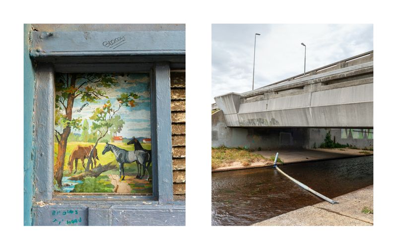 © Dillon Marsh - Image from the Walks With My Dogs photography project