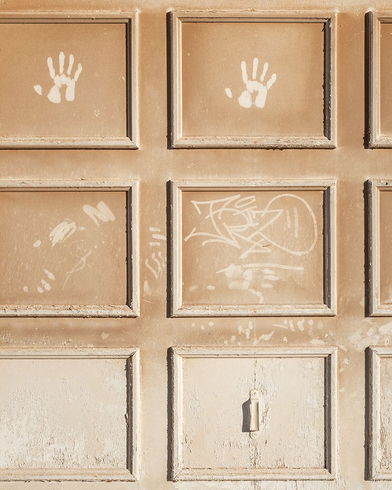 © Dillon Marsh - Palm prints, Kleinzee, 2020