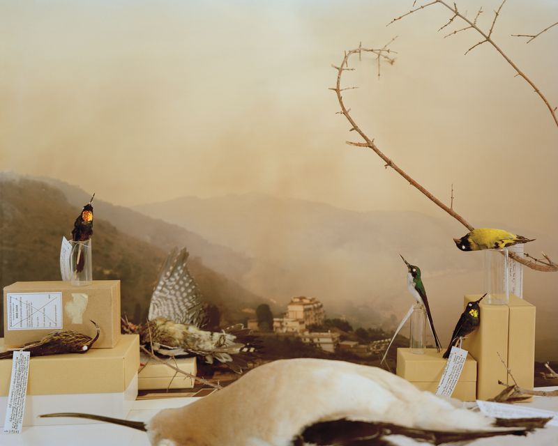 © Emma Ressel - Shifting Baseline Syndrome, Archival pigment print, 24x30, 2023