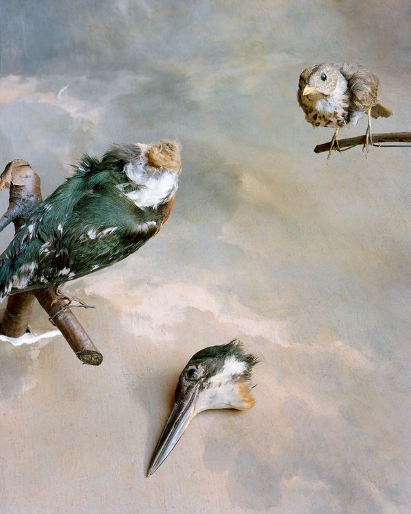 © Emma Ressel - Second Death is Softer, Archival pigment print, 30x24 inches, 2021