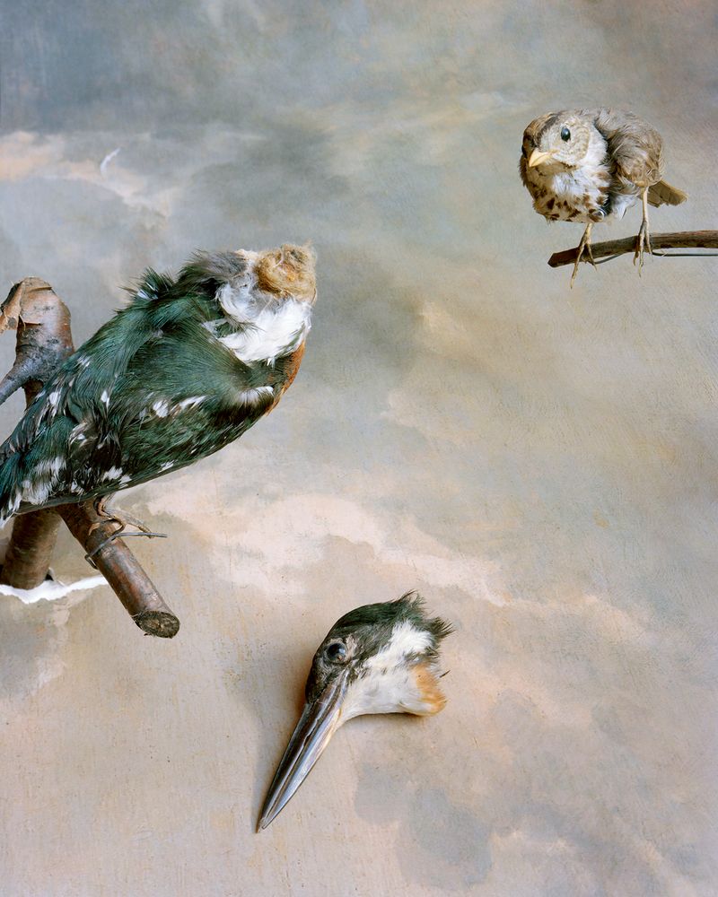 © Emma Ressel - Second Death is Softer, Archival pigment print, 30x24 inches, 2021