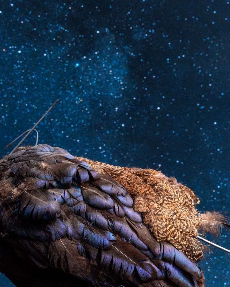 © Emma Ressel - Dusty Galaxy, Archival pigment print, 13.75x11 inches, 2021