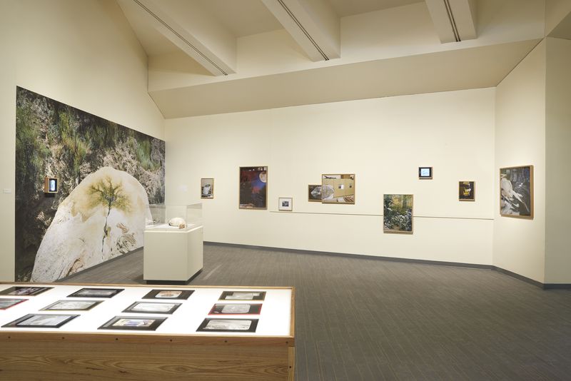 © Emma Ressel - Installation view of Extant Erosions at the New Mexico Museum of Natural History and Science, Spring 2025