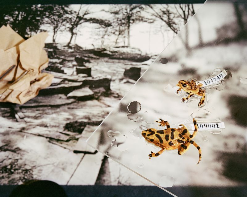 © Emma Ressel - Last Seen in 2009, Archival pigment print, 16x20 inches, 2025