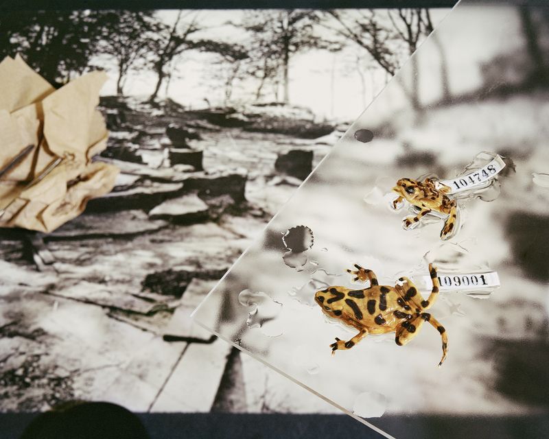 © Emma Ressel - Last Seen in 2009, Archival pigment print, 16x20 inches, 2025