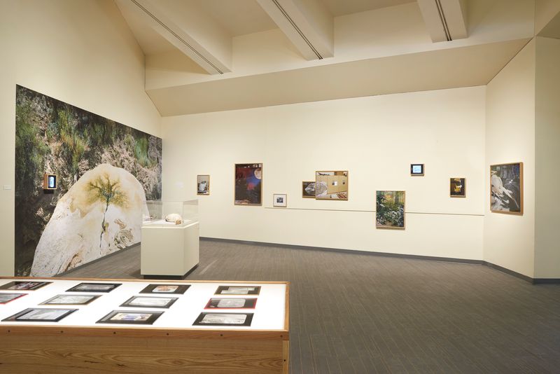 © Emma Ressel - Extant Erosions install view, New Mexico Museum of Natural History and Science, 2025