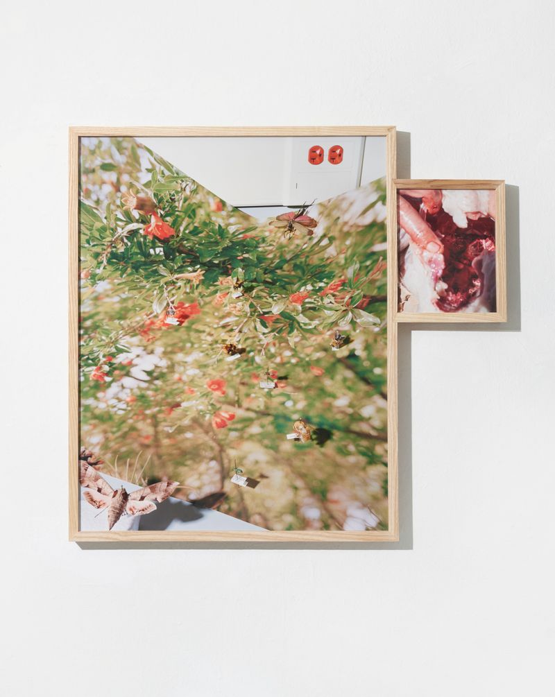 © Emma Ressel - Body/Cavity, 2024, archival pigment prints in an artist-made diptych frame