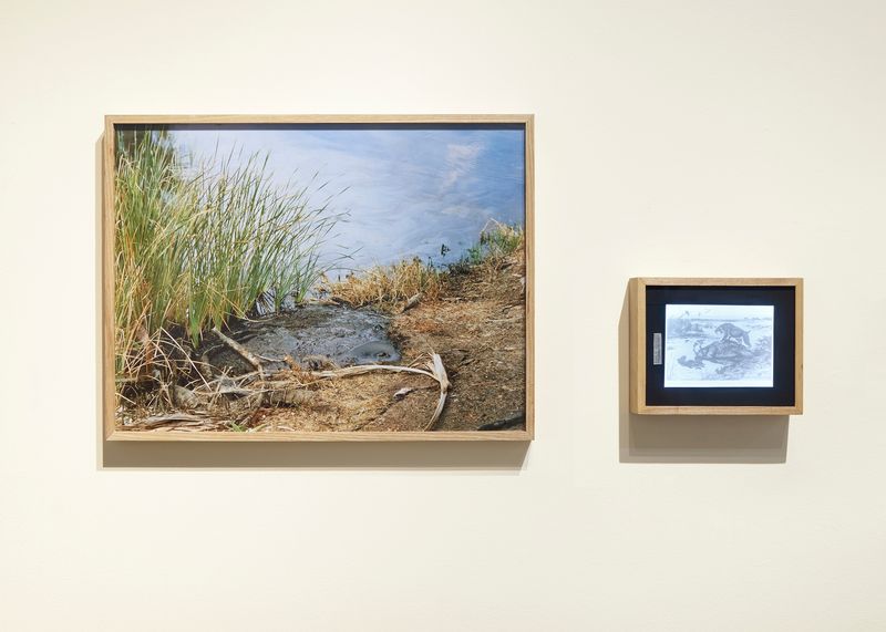 © Emma Ressel - La Brea Tar Pits (Then and Now), 2025, archival pigment print (left) and lightbox with transparency (right)