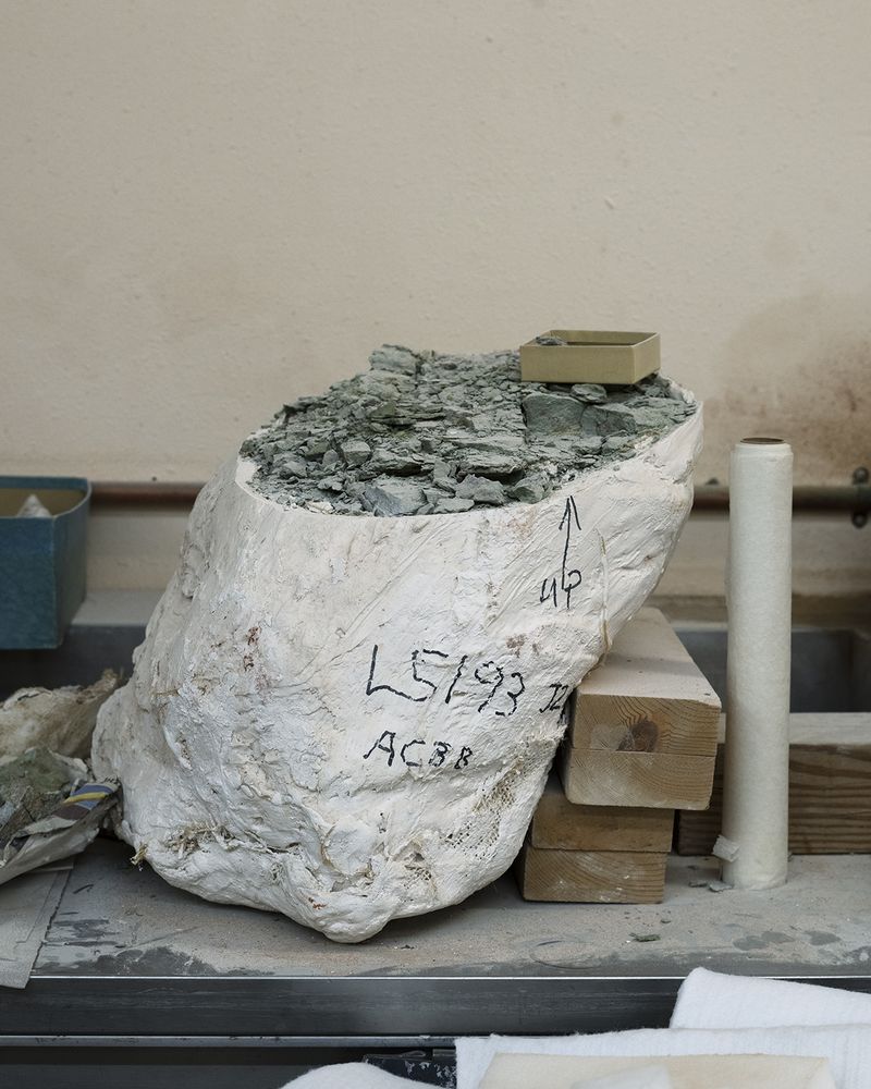 © Emma Ressel - Recovered from the field, 2025