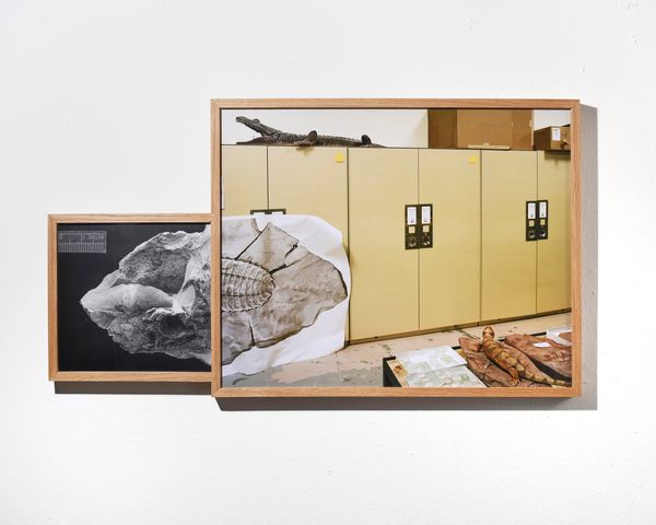 © Emma Ressel - Deep Time Storage, 2025, archival pigment prints in an artist-made diptych frame