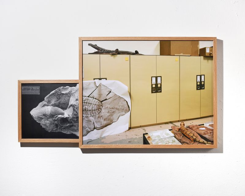© Emma Ressel - Deep Time Storage, 2025, archival pigment prints in an artist-made diptych frame