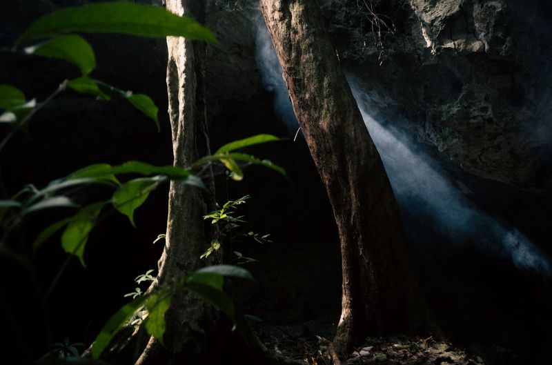 © Kseniya Gva - Image from the Secrets of Nature photography project