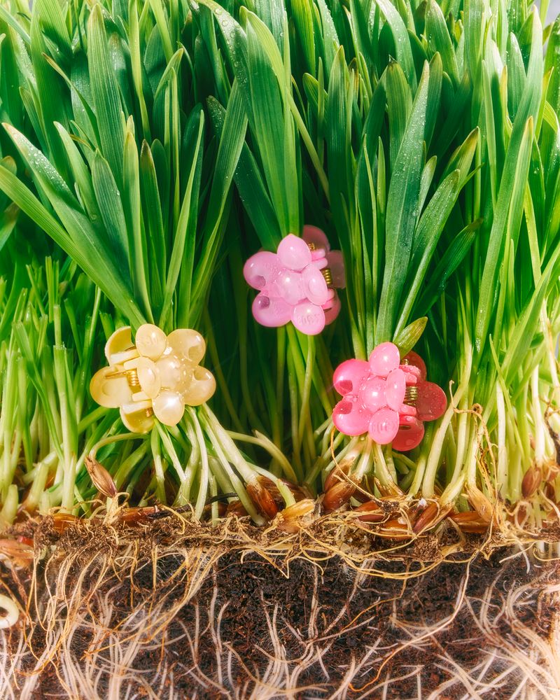 © Alex Valentina - Image from the A symbiotic view of life photography project