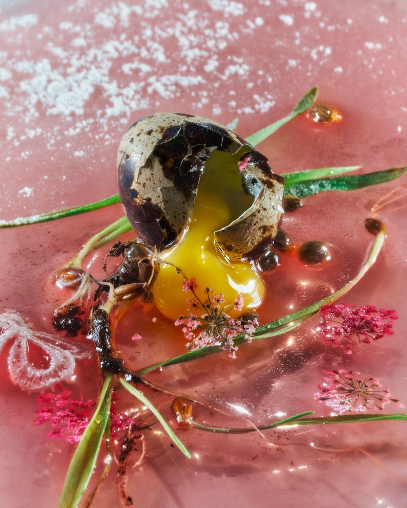 © Alex Valentina - Image from the A symbiotic view of life photography project