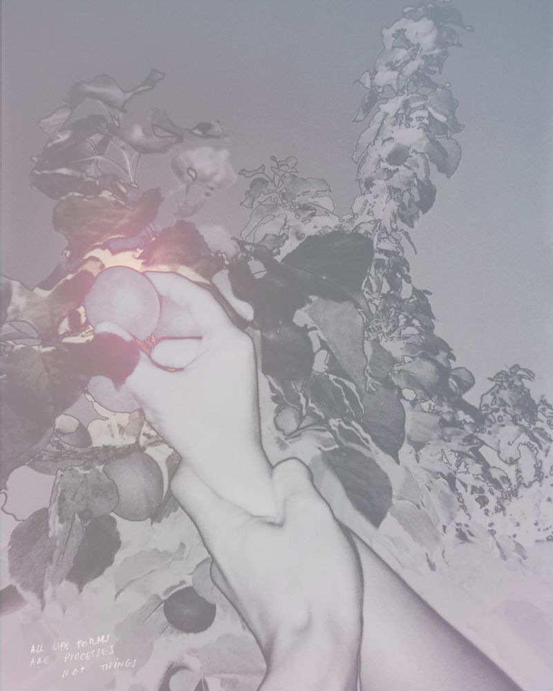 © Alex Valentina - Image from the when i feel you, i feel me and when i feel me, it feels good photography project