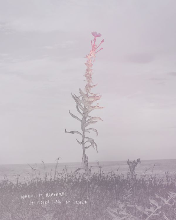 © Alex Valentina - Image from the when i feel you, i feel me and when i feel me, it feels good photography project