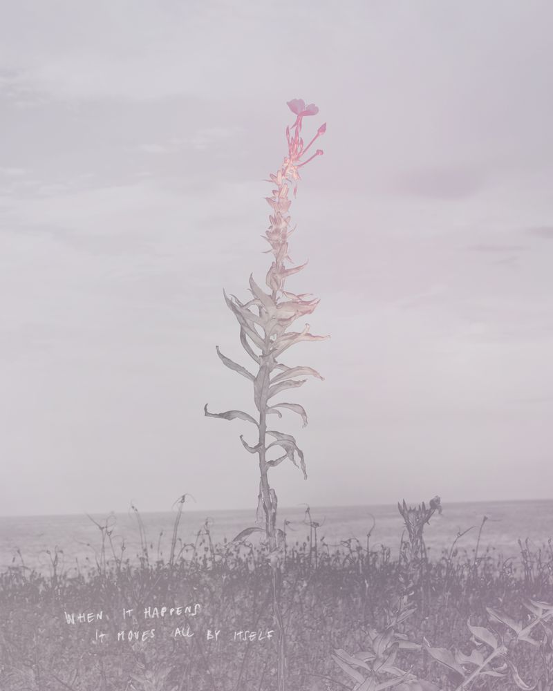 © Alex Valentina - Image from the when i feel you, i feel me and when i feel me, it feels good photography project