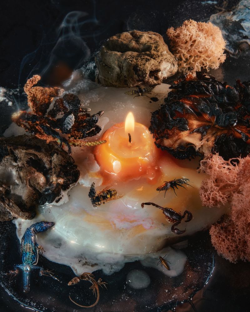 © Alex Valentina - Image from the A symbiotic view of life photography project