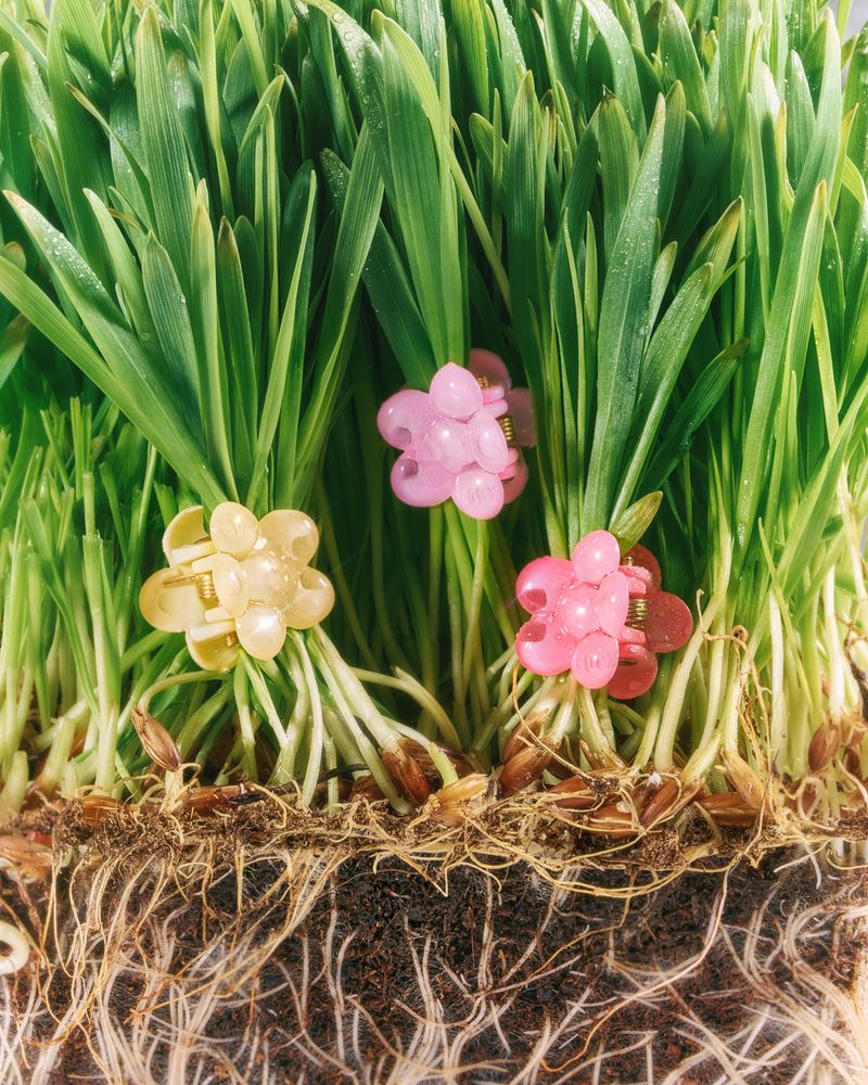© Alex Valentina - Image from the A symbiotic view of life photography project