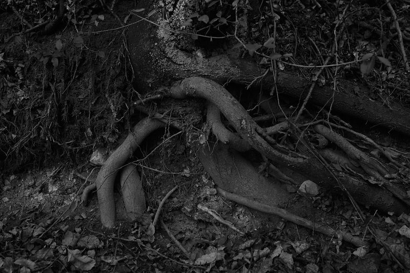 © Lolita Chaprak - Image from the This is not your home photography project