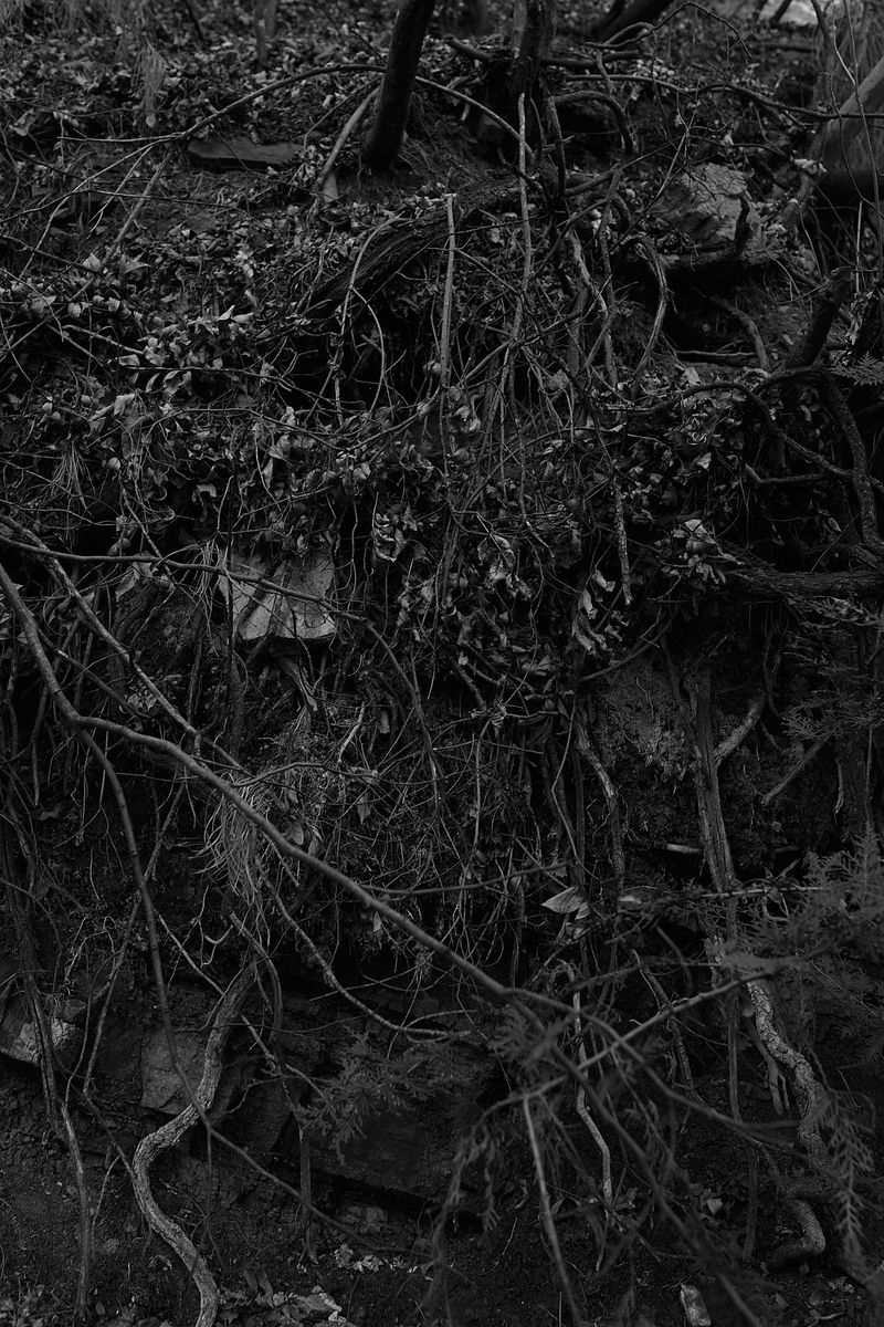 © Lolita Chaprak - Image from the This is not your home photography project
