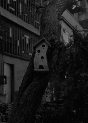 This is not your home