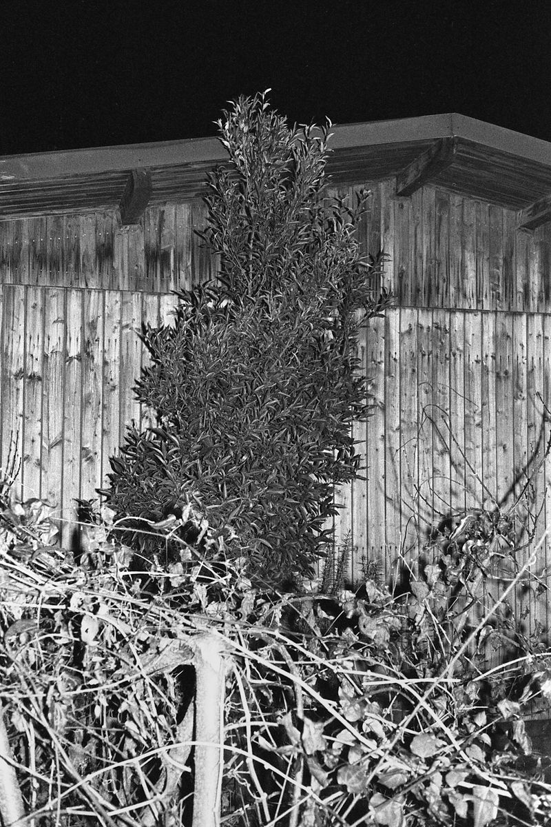 © Matteo Giardiello - Image from the Nevermind if I'm Blind photography project