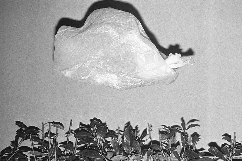 © Matteo Giardiello - Image from the Nevermind if I'm Blind photography project