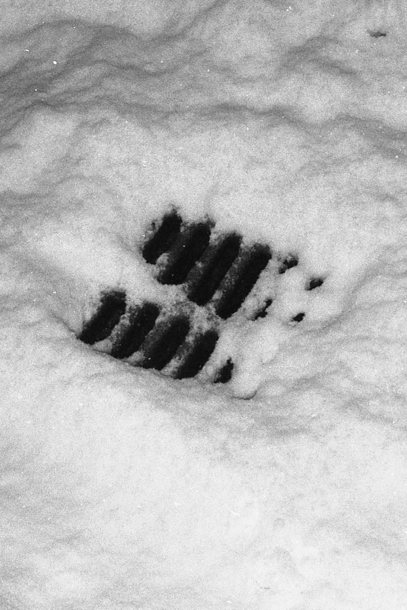 © Matteo Giardiello - Image from the Nevermind if I'm Blind photography project